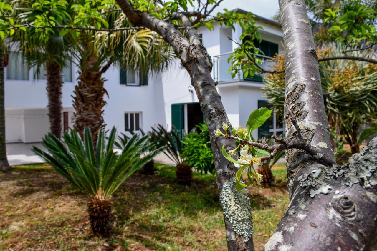 Casa Do Cantinho Do Muro São Vicente Esterno foto